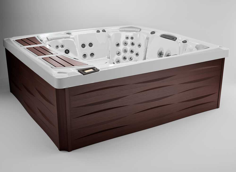 Premout Sundance Spas 980 hot tub Premout Sundance Spas 980 hot tub